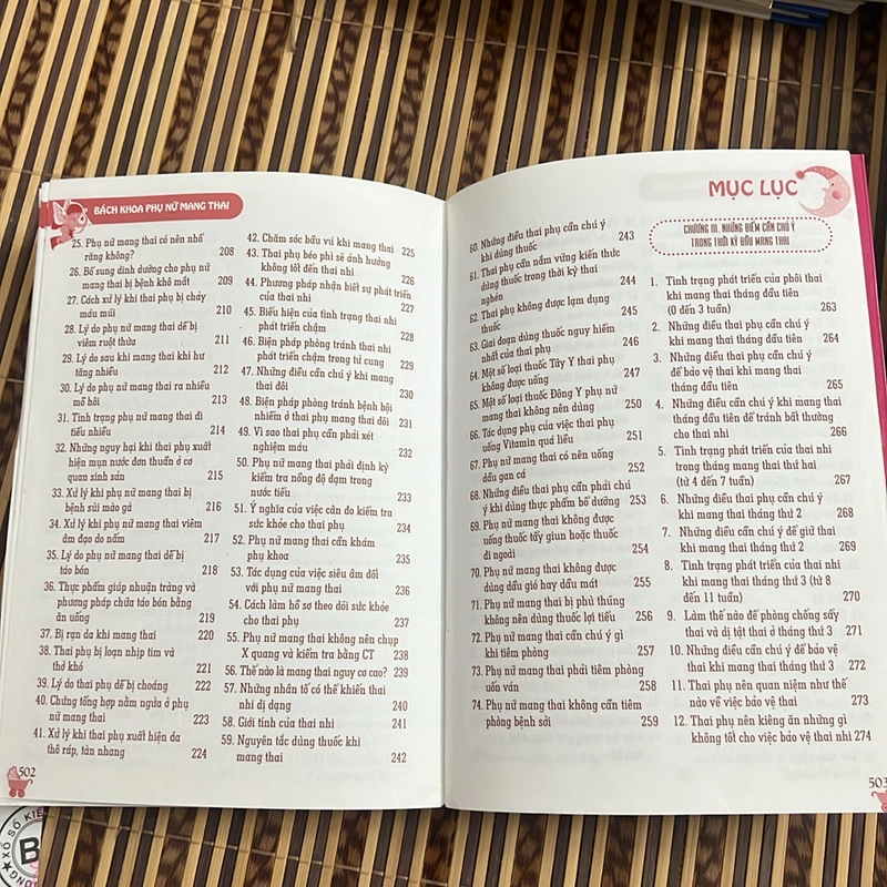 Bách Khoa Phụ Nữ Mang Thai  533392