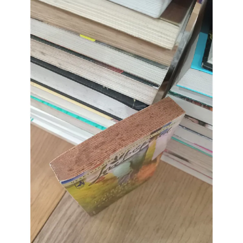 Journey to forever - Carol Steward 707589