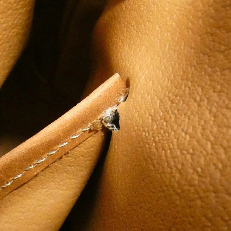 【Vintage】Túi Celine 620020