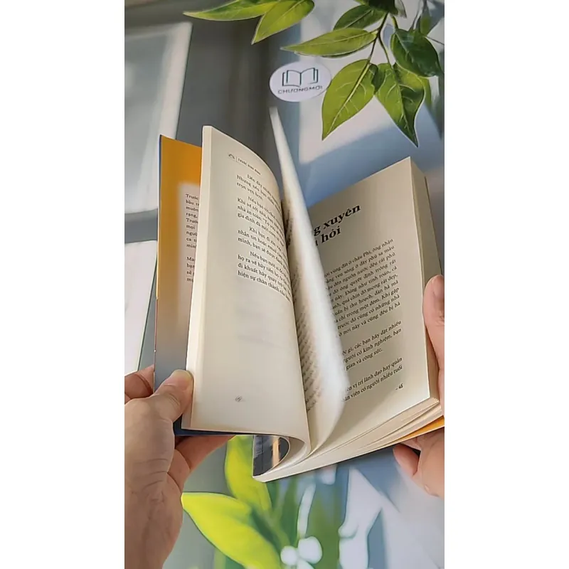 Trước Bình Minh 607728