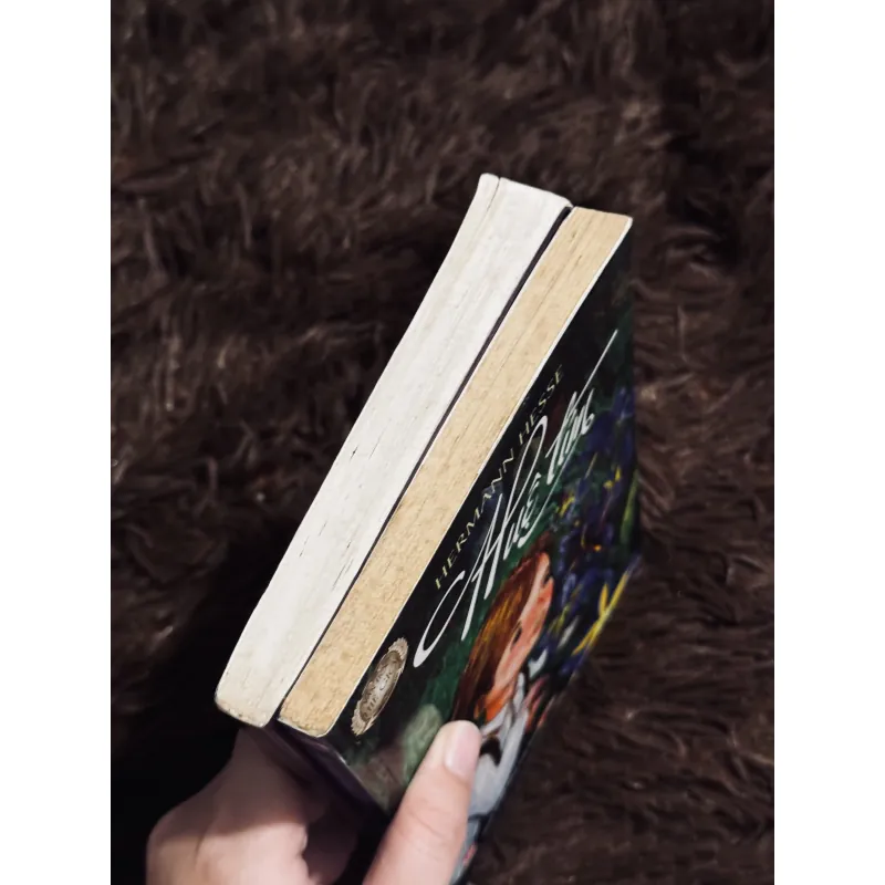 Combo Hermann Hesse 1031592