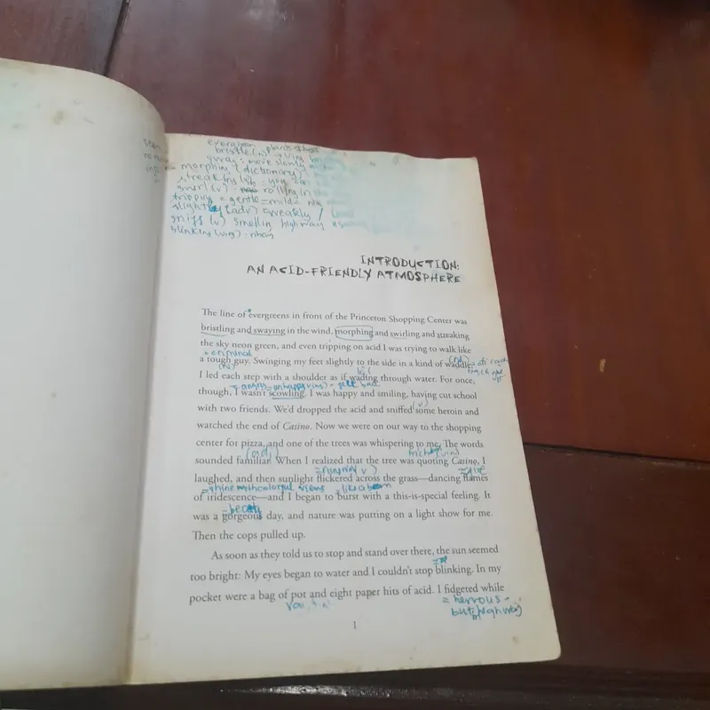 James Salant - LEAVING DIRTY JERSEY, a crystal meth memoir 737867