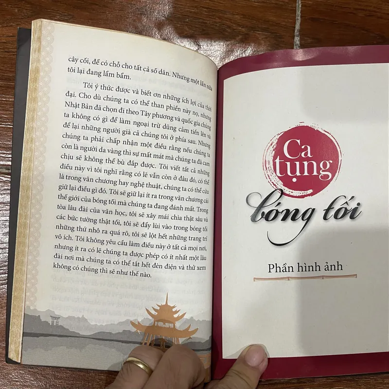 Ca tụng bóng tối - Junichiro Tanizaki (k1) 601737