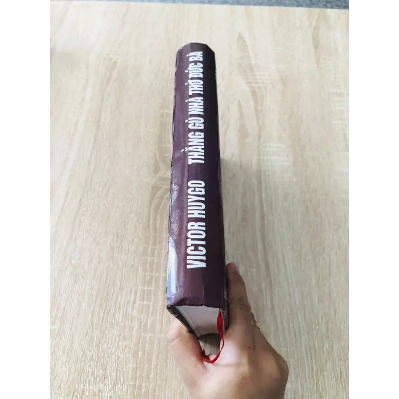 THẰNG GÙ NHÀ THỜ ĐỨC BÀ – Victor Hugo 973696