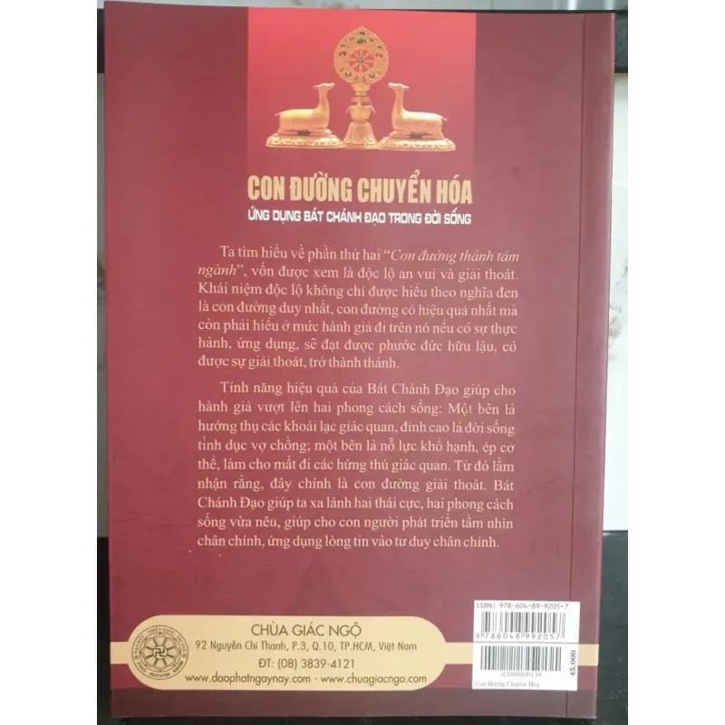 Sách Con Đường Chuyển Hóa Ứng Dụng Bát Chánh Đạo Trong Đời Sống Thích Nhật Từ 675481