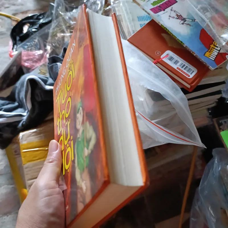 Tuổi thơ dữ dội  1034087