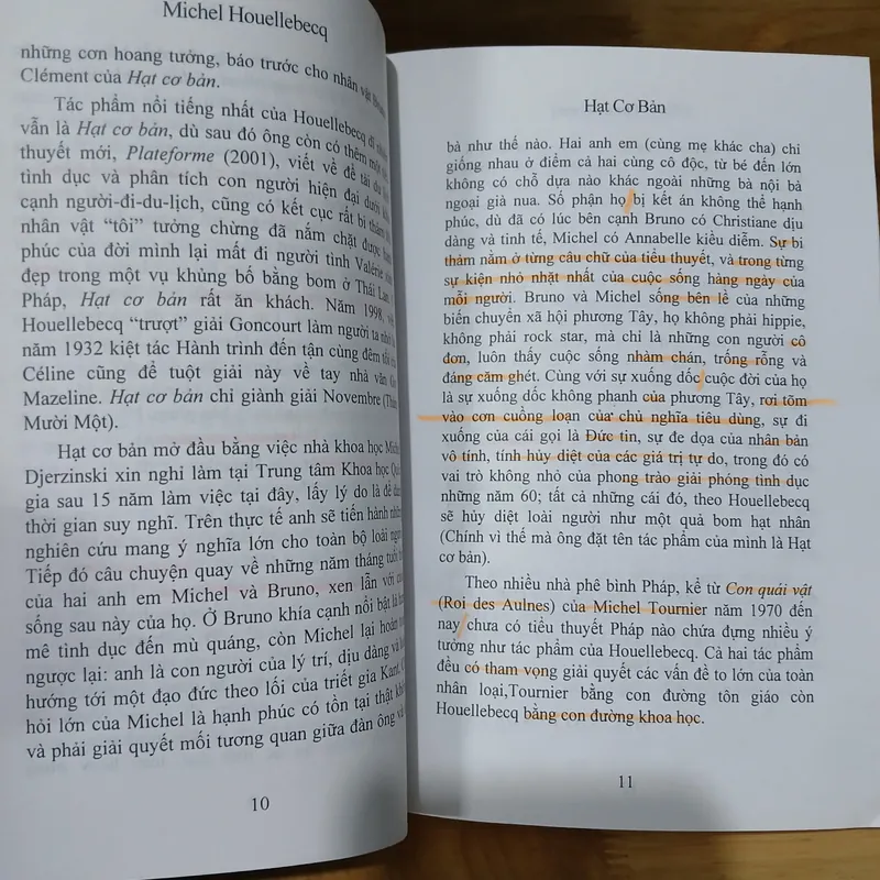 Tiểu Thuyết Hạt Cơ Bản - Michel Houellebecq 726807