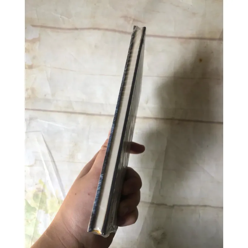 Tuyết - Maxence Fermine (bìa cứng) 759086