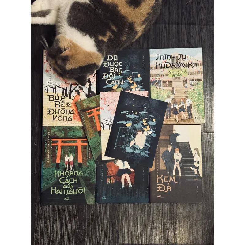 Trọn bộ 6 tập Yonezawa Honobu.  606588