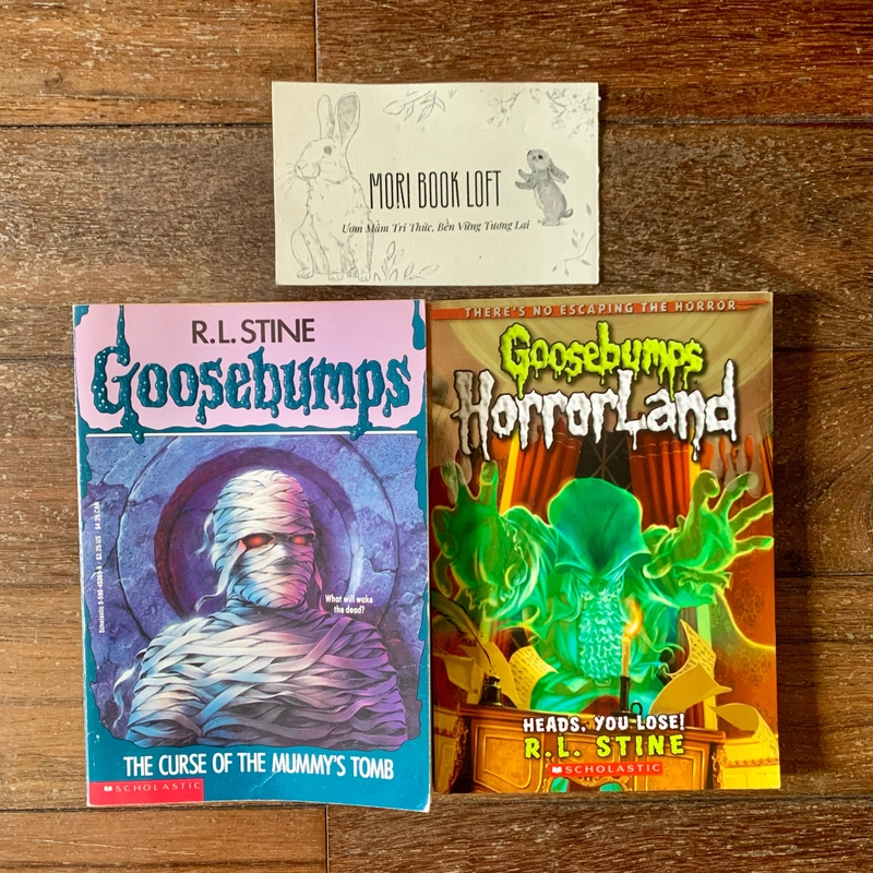 Combo 2 cuốn Goosebumps, Used, sách chapter đọc tiếng anh cho trẻ 8+ 447774