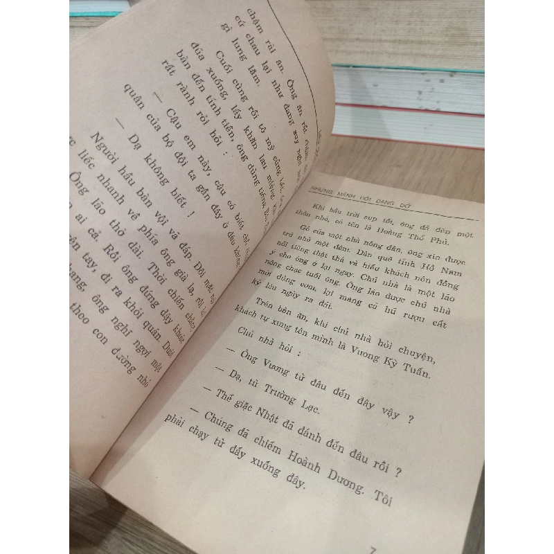 Những mảnh đời dang dở - Liêu Quốc Nhĩ 746211