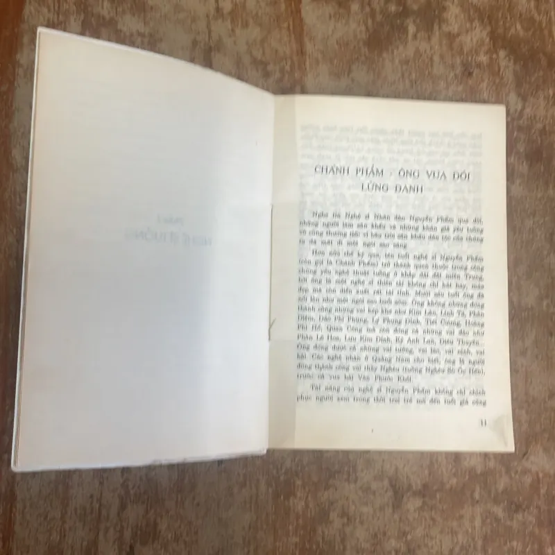 CHÂN DUNG NGHỆ SĨ - HOÀNG CHƯƠNG 1003287