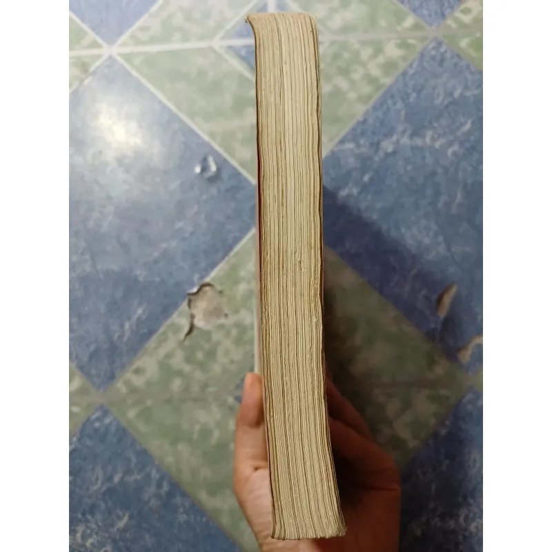 Gió lộng cờ đào ( Cờ nghĩa Tây Sơn) - Mộng Bình Sơn 974078