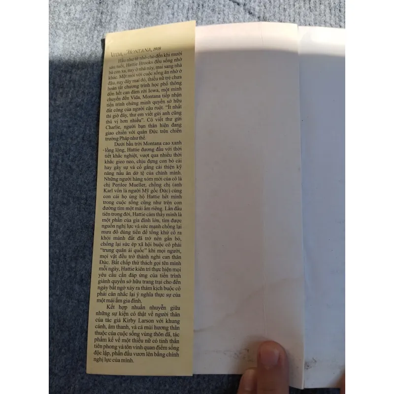 KHOẢNG TRỜI MÊNH MÔNG - KIRBY LARSON 574347