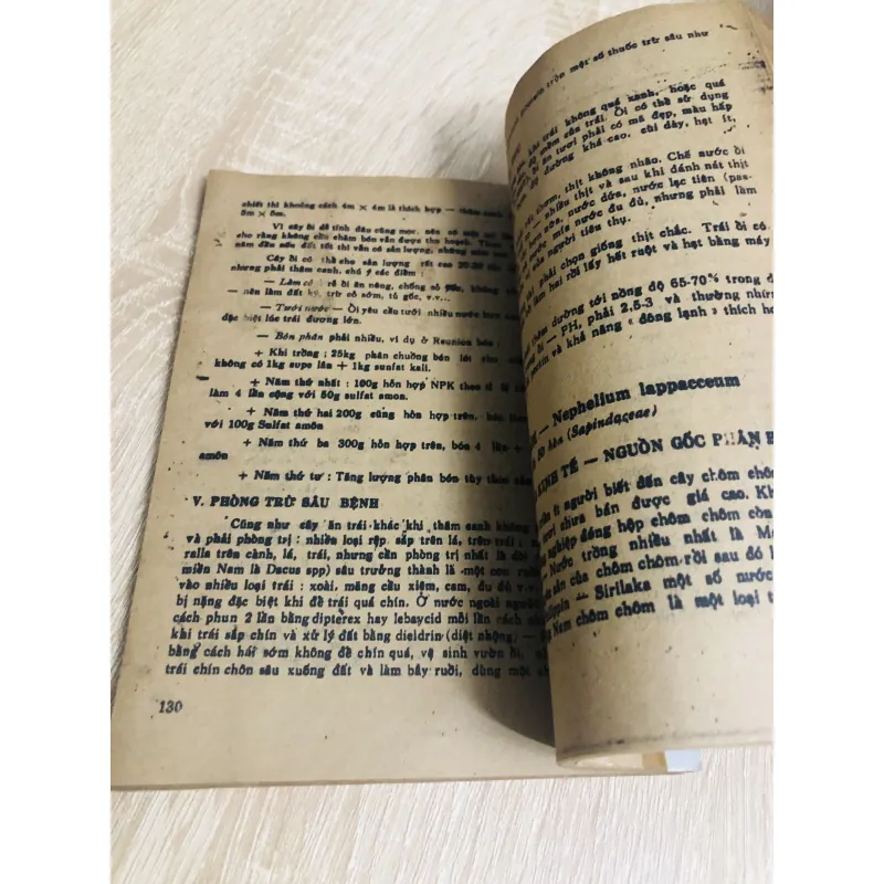 CÂY ĂN TRÁI MIỀN NAM 956916