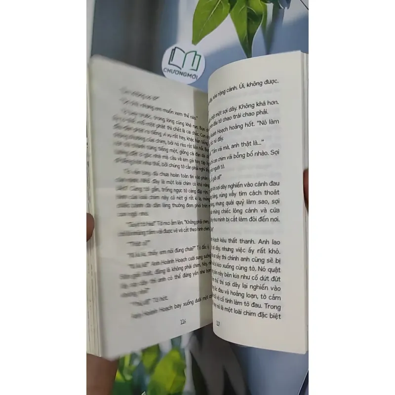 Chuyện Của Bôn Bôn - Chiến Binh Chào Mào - Đoàn Bảo Châu 798485