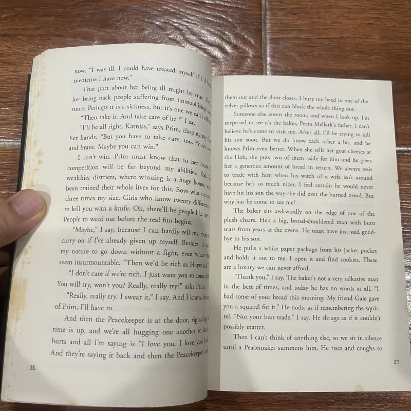 The Hunger Games Trilogy - Đấu trường sinh tử 3 tập (19) 928917