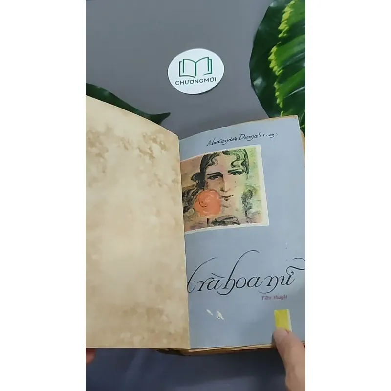 Trà Hoa Nữ 604659