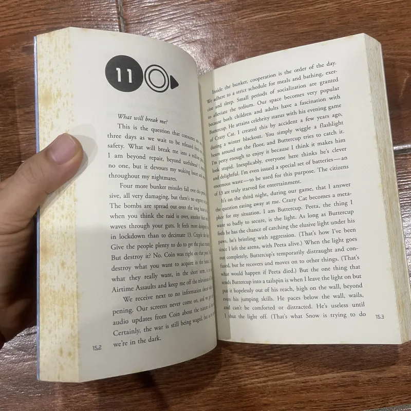 The Hunger Games Trilogy - Đấu trường sinh tử 3 tập (19) 928917