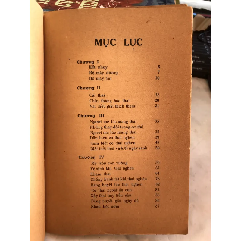Mang nặng đẻ đau - hay là tất cả các vấn đề thai nghén- BS Trần Ngọc Ninh và Trần Việt Sơn 1001827
