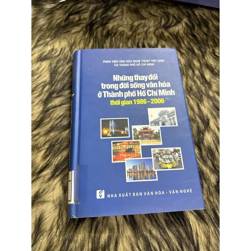 Những thay đổi trong đời sống văn hóa TP.Hồ Chí Minh 1986-2006 600792