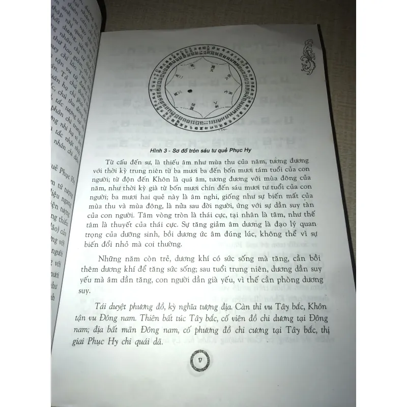 Sinh mệnh bát quái 937316