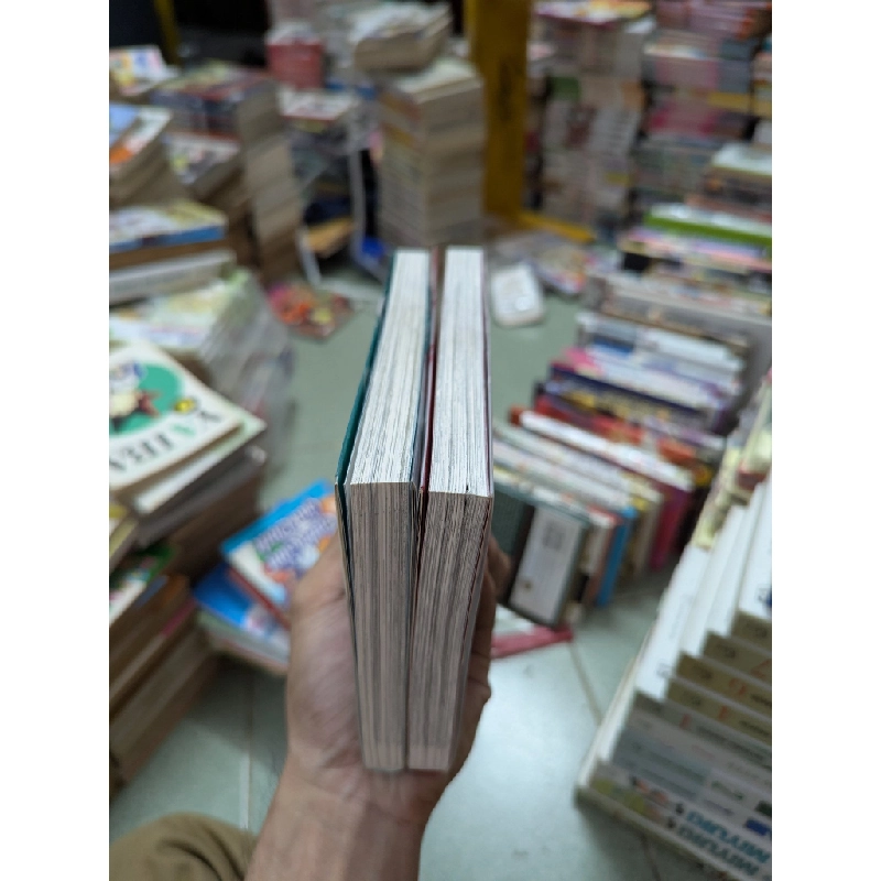 Truyện tranh full metal alchemist ( cang giả kim thuật sư ) 498695