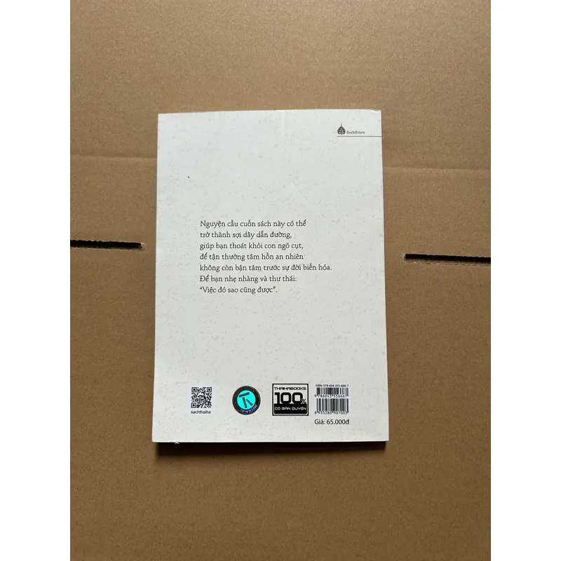 Để tâm không bận - Ryunosuke Koike 717454