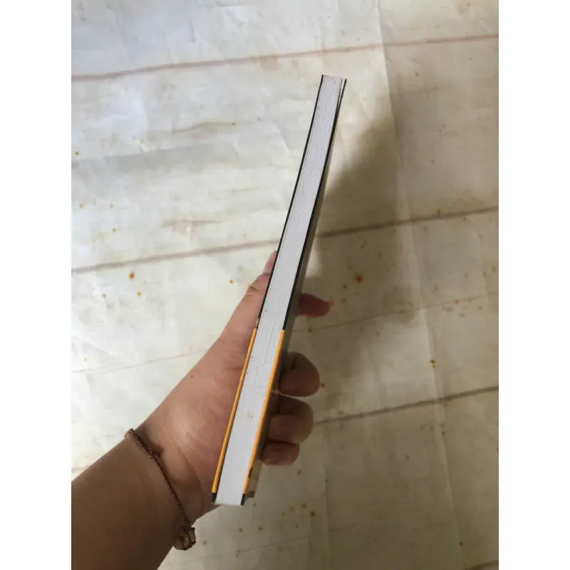 Người Đọc - Bernhard Schlink 800733