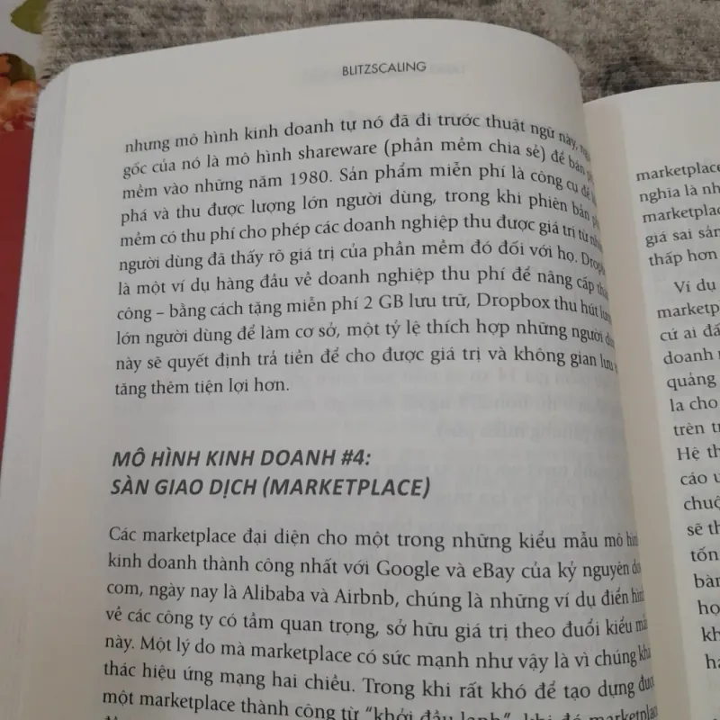 Tăng trưởng Thần tốc- Blitzscaling. Tg Reid Hoffman & Chris Yeh 763488
