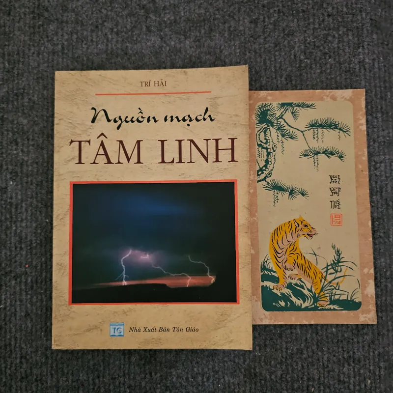 Nguồn mạch tâm linh - ni sư Trí Hải 736848