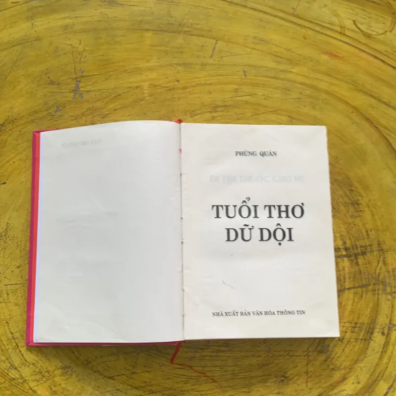 TUỔI THƠ DỮ DỘI - PHÙNG QUÁN 956988