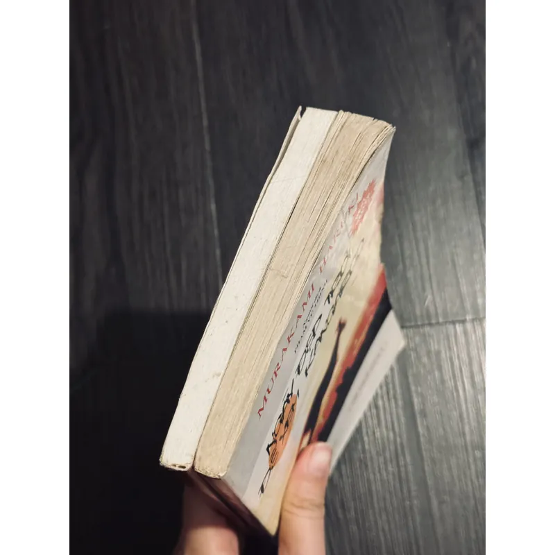 Combo 2 tác phẩm Murakami 597817