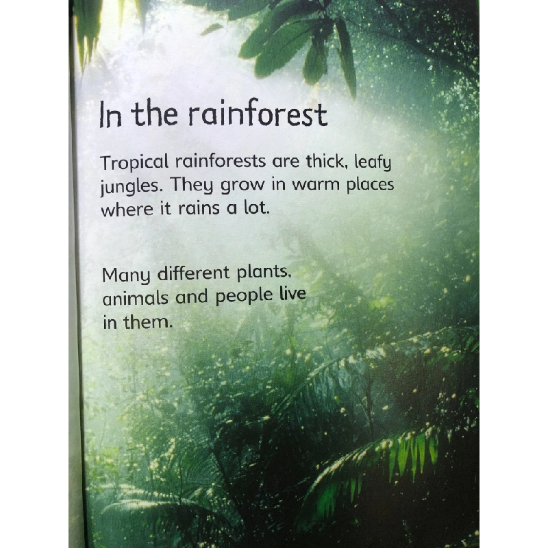 Rain Forests USBORNE BÌA CỨNG mới 85% Lucy Bowman HPB2707 NGOẠI VĂN 192219