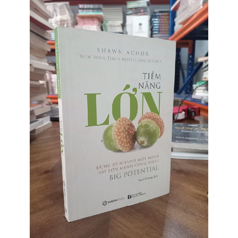 Tiềm Năng Lớn - Shawn Achor 128557
