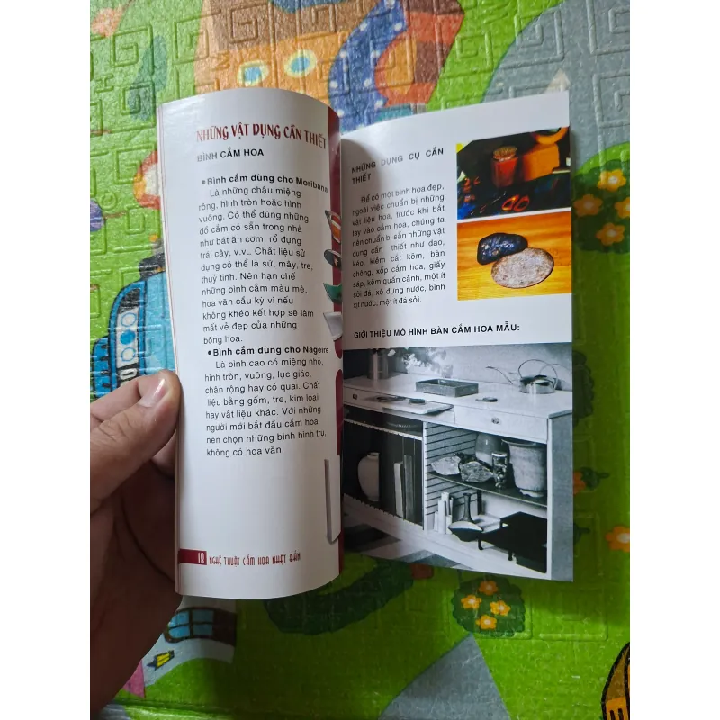 Nghệ thuật Cắm hoa Nhật Bản 1019034