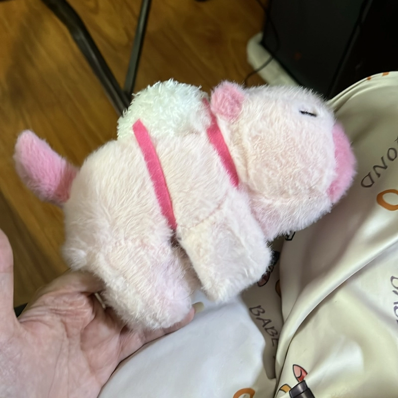 gấu bông ôm cặp capybara 526049