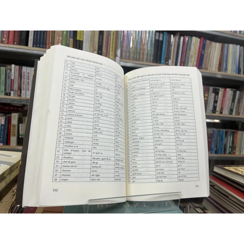 VĂN HOÁ VIỆT NAM TRONG NGÔN NGỮ 602993