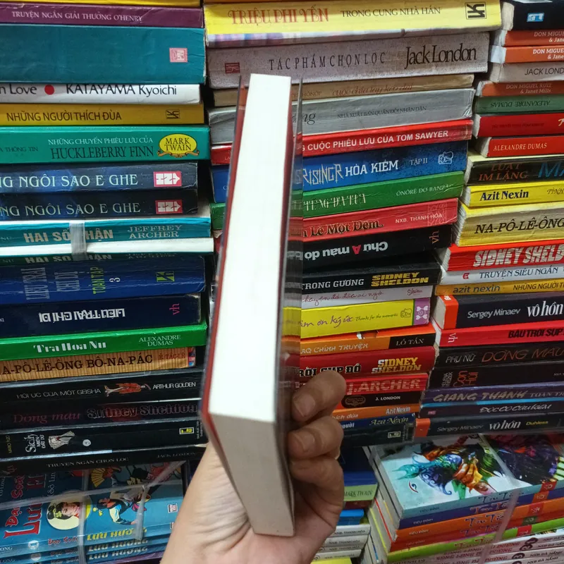 Trong Gia Đình- Hector Malot 692902