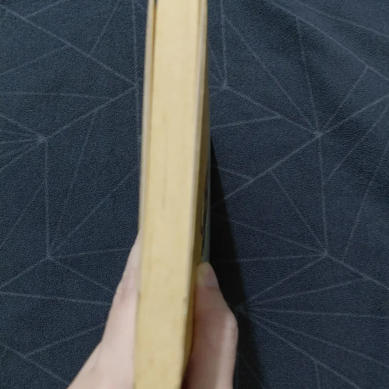 "Chớ vội vã dù dòng đời xô ngã" - Gyatso Rinpoche 999793