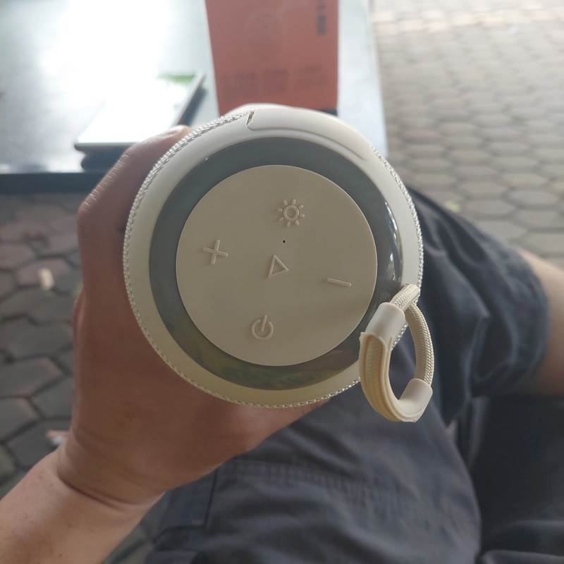 Loa không dây JBL 461371
