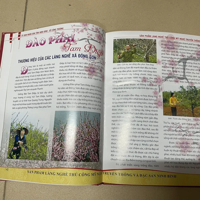 Sản phẩm Làng nghề thủ công mỹ nghệ truyền thống và đặc sản Ninh Binh (c) 728327