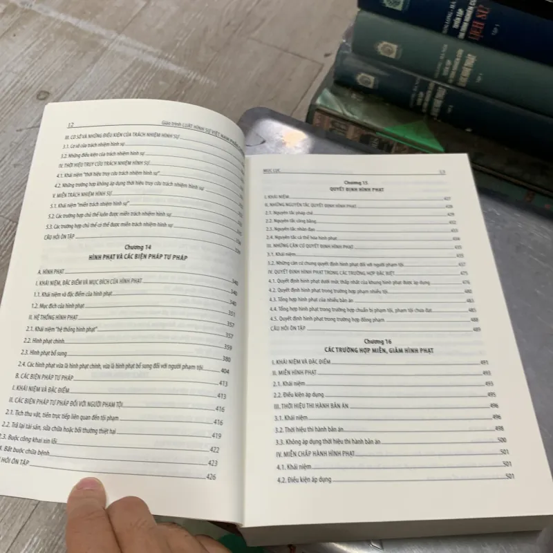 Giáo trình luật hình sự việt nam, phần chung.  754794