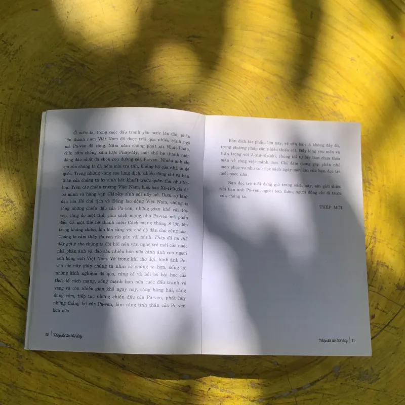 THÉP ĐÃ TÔI THẾ ĐẤY- NIKOLAI A. OSTROVSKY 782686