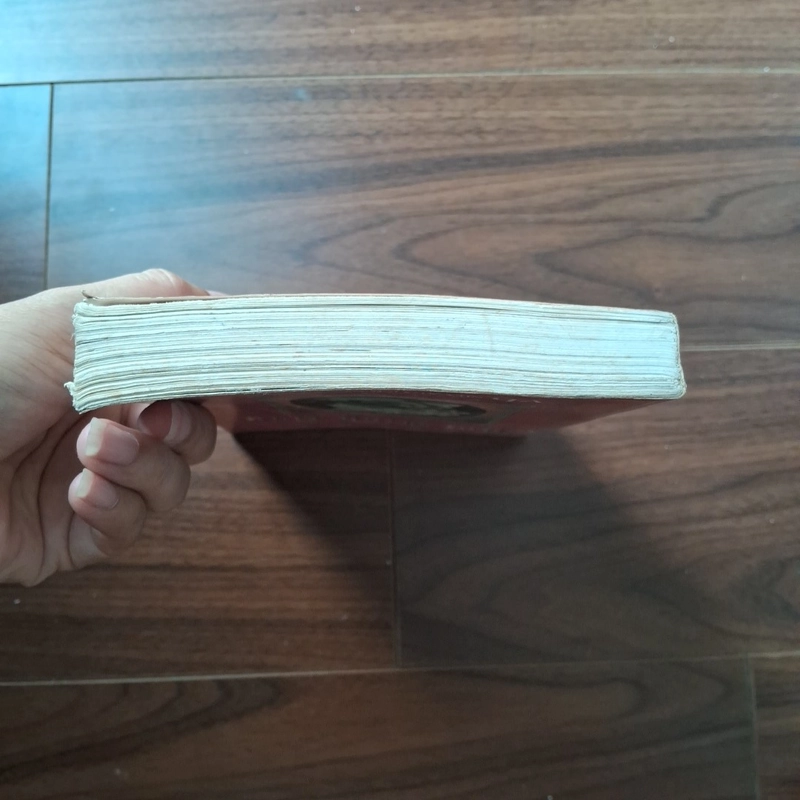 Mối tình đầu 506057