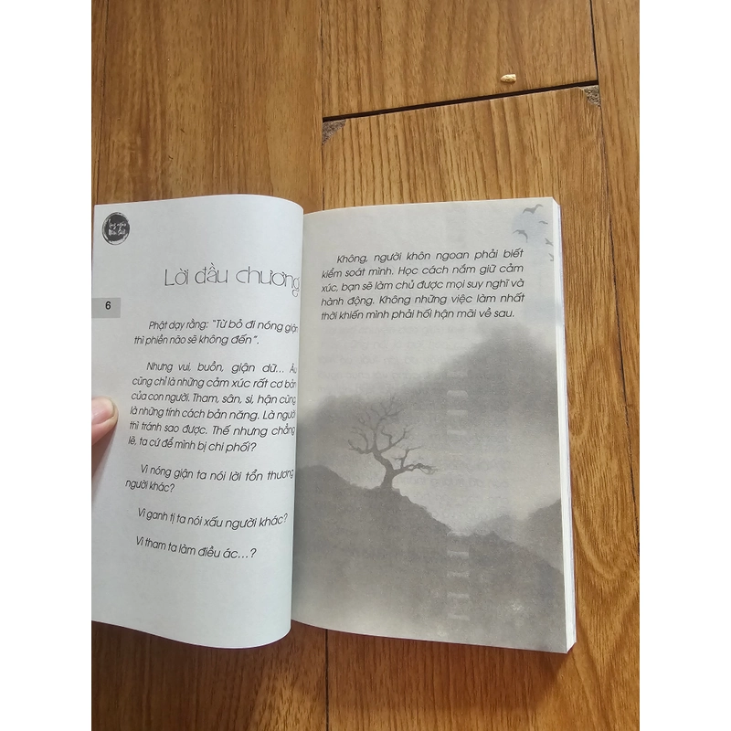 Buông bỏ nghiệp nóng giận 448151