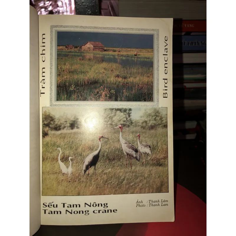 Đồng Tháp điểm hẹn du lịch  993271