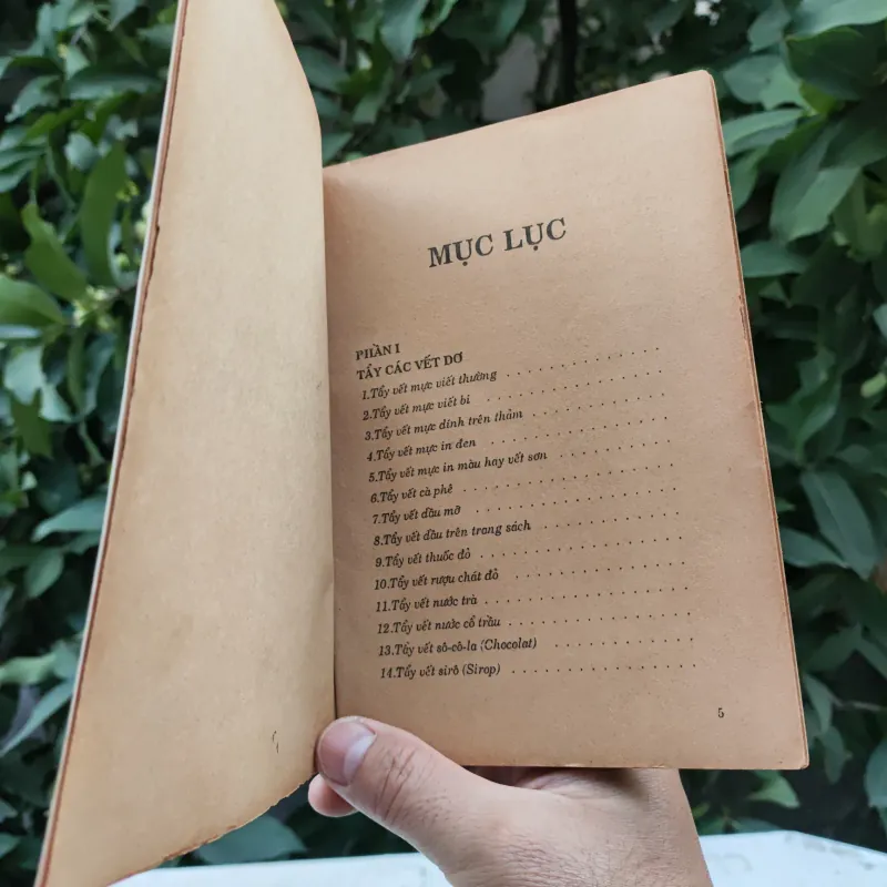 Mẹo Vặt Cho Người Đảm Đang - Nguyễn Duy - Thuỳ Minh 759351