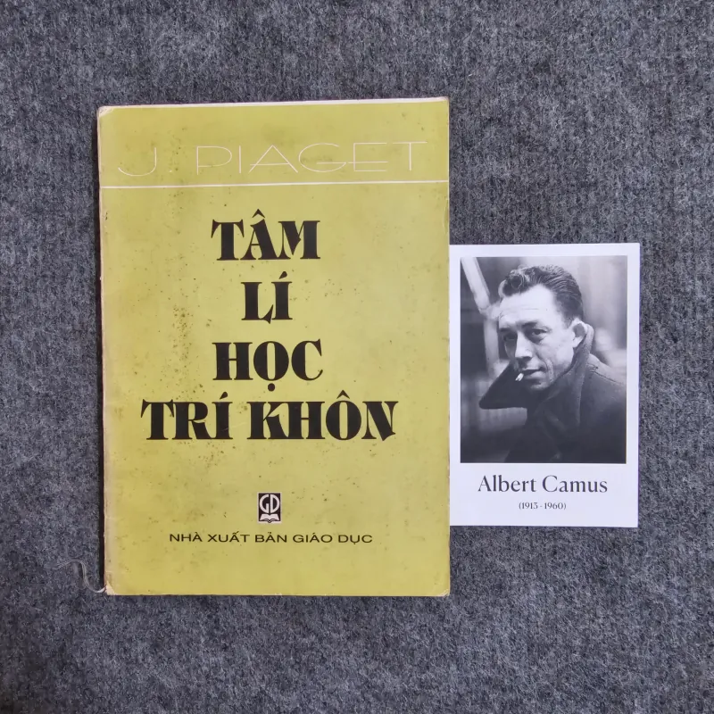 Tâm lý học trí khôn - Jean Piaget 1004961