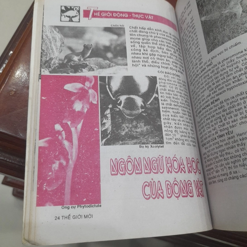 THẾ GIỚI MỚI số 71 năm 1993 447731